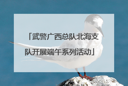 武警广西总队北海支队开展端午系列活动