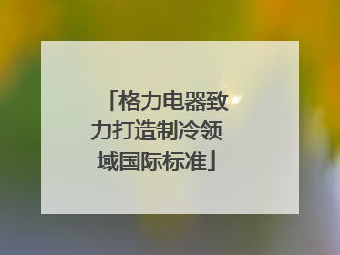 格力电器致力打造制冷领域国际标准