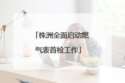 株洲全面启动燃气表首检工作