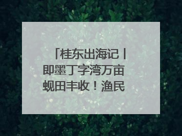 桂东出海记丨即墨丁字湾万亩蚬田丰收！渔民泥里挖蚬，一天上岸过千斤