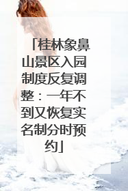 桂林象鼻山景区入园制度反复调整：一年不到又恢复实名制分时预约