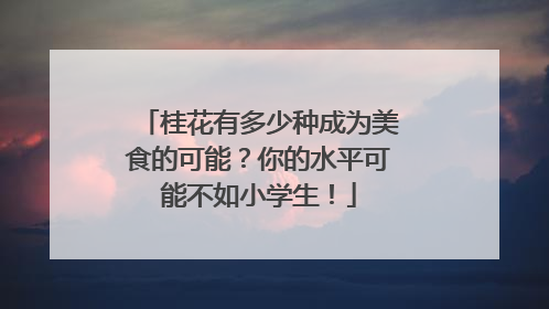 桂花有多少种成为美食的可能？你的水平可能不如小学生！