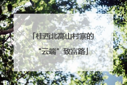 桂西北高山村寨的“云端”致富路