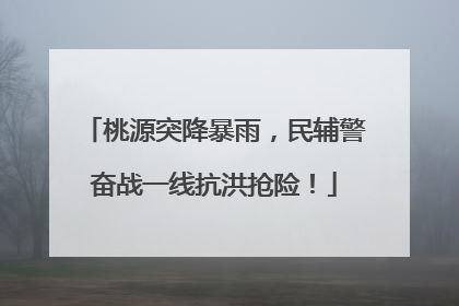 桃源突降暴雨，民辅警奋战一线抗洪抢险！
