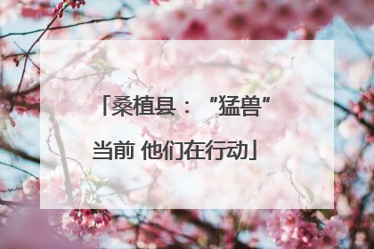 桑植县：“猛兽”当前 他们在行动