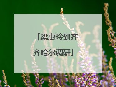 梁惠玲到齐齐哈尔调研