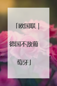 欧国联｜德国不敌葡萄牙