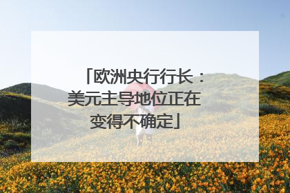 欧洲央行行长：美元主导地位正在变得不确定
