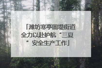 潍坊寒亭固堤街道全力以赴护航“三夏”安全生产工作