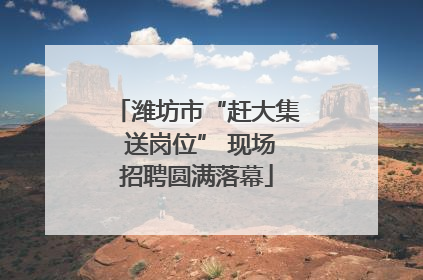 潍坊市“赶大集 送岗位” 现场招聘圆满落幕