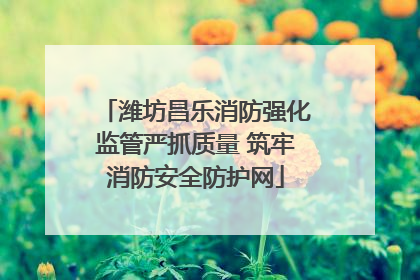 潍坊昌乐消防强化监管严抓质量 筑牢消防安全防护网