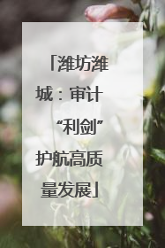 潍坊潍城：审计“利剑”护航高质量发展