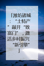潍坊诸城：“土特产”敲开“致富门”，激活乡村振兴“新引擎”