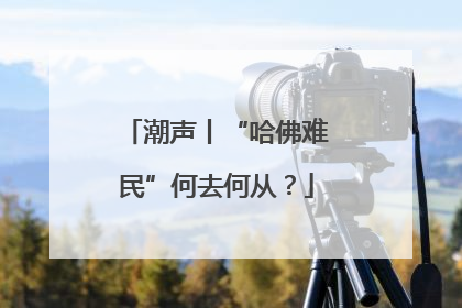 潮声丨“哈佛难民”何去何从？