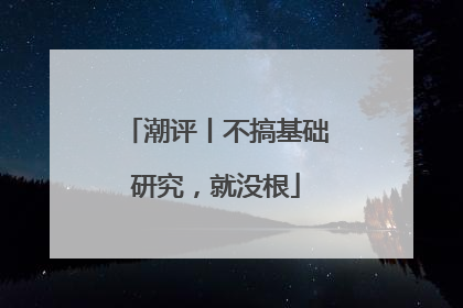 潮评丨不搞基础研究，就没根