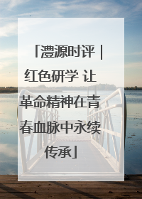 澧源时评｜红色研学 让革命精神在青春血脉中永续传承