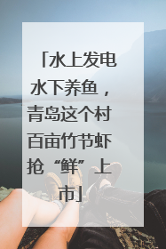 水上发电水下养鱼，青岛这个村百亩竹节虾抢“鲜”上市