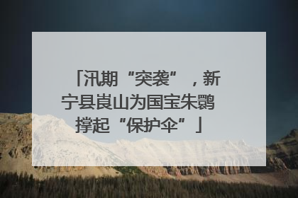 汛期“突袭”，新宁县崀山为国宝朱鹮撑起“保护伞”