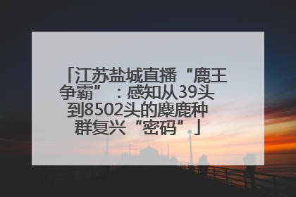 江苏盐城直播“鹿王争霸”：感知从39头到8502头的麋鹿种群复兴“密码”