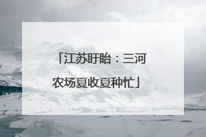 江苏盱眙：三河农场夏收夏种忙