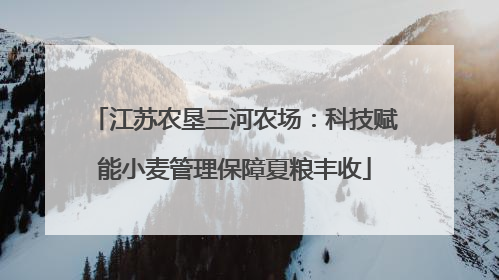 江苏农垦三河农场：科技赋能小麦管理保障夏粮丰收
