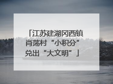 江苏建湖冈西镇肖荡村“小积分”兑出“大文明”