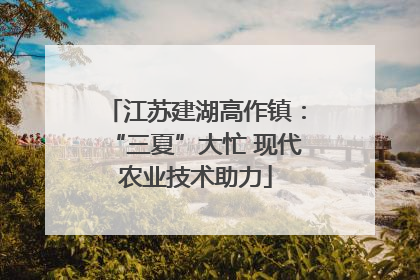 江苏建湖高作镇：“三夏”大忙 现代农业技术助力