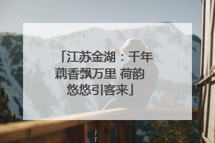 江苏金湖：千年藕香飘万里 荷韵悠悠引客来
