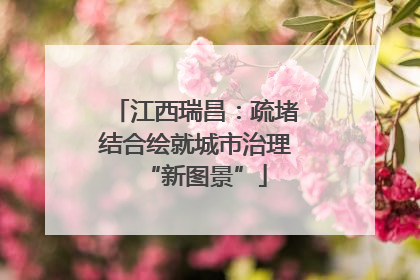 江西瑞昌：疏堵结合绘就城市治理“新图景”