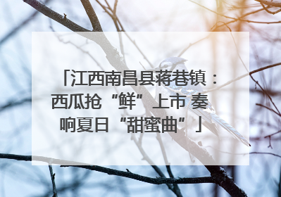 江西南昌县蒋巷镇：西瓜抢“鲜”上市 奏响夏日“甜蜜曲”