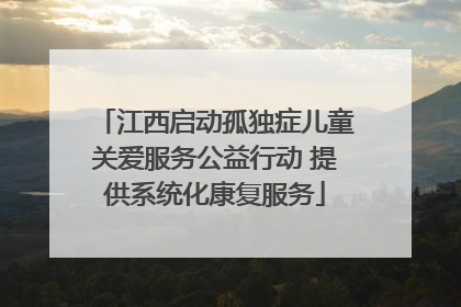 江西启动孤独症儿童关爱服务公益行动 提供系统化康复服务