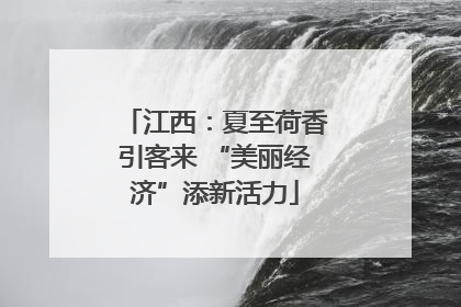 江西：夏至荷香引客来 “美丽经济”添新活力