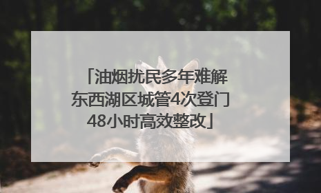 油烟扰民多年难解 东西湖区城管4次登门48小时高效整改