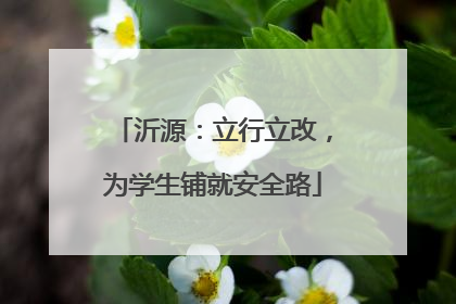 沂源：立行立改，为学生铺就安全路