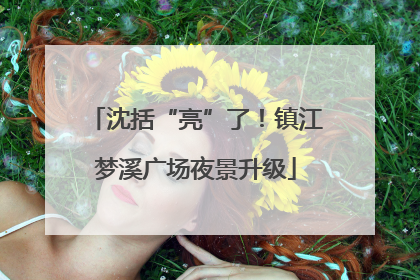 沈括“亮”了！镇江梦溪广场夜景升级