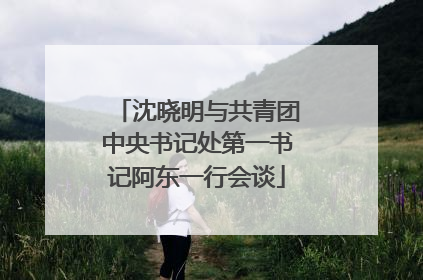 沈晓明与共青团中央书记处第一书记阿东一行会谈