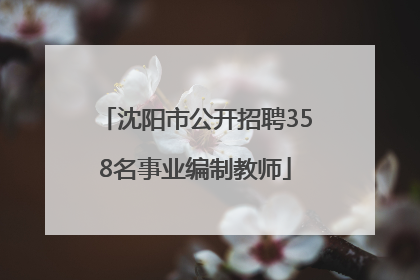 沈阳市公开招聘358名事业编制教师