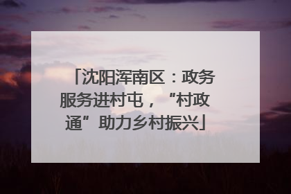 沈阳浑南区：政务服务进村屯，“村政通”助力乡村振兴