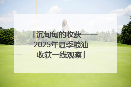 沉甸甸的收获——2025年夏季粮油收获一线观察
