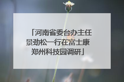 河南省委台办主任景劲松一行在富士康郑州科技园调研