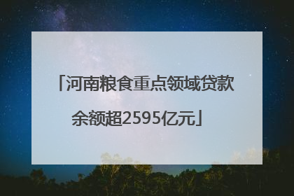 河南粮食重点领域贷款余额超2595亿元