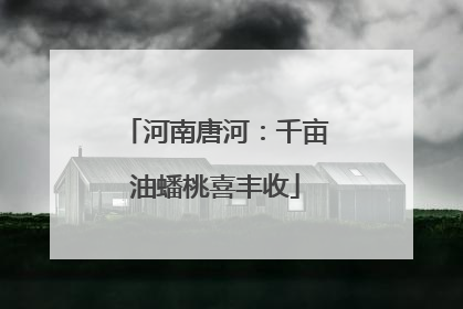 河南唐河：千亩油蟠桃喜丰收