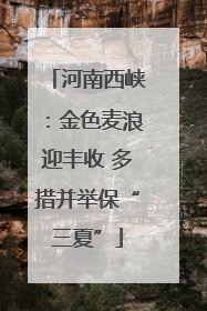 河南西峡：金色麦浪迎丰收 多措并举保“三夏”