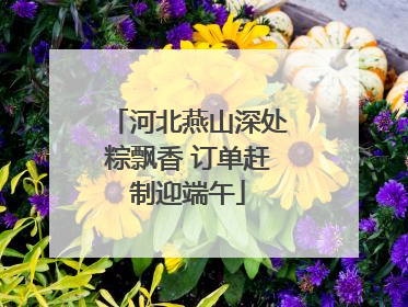 河北燕山深处粽飘香 订单赶制迎端午