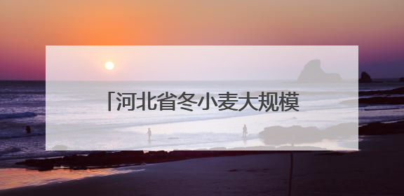 河北省冬小麦大规模机收工作全面启动