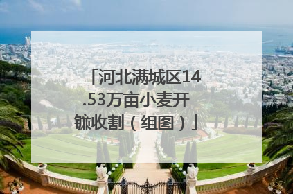 河北满城区14.53万亩小麦开镰收割（组图）