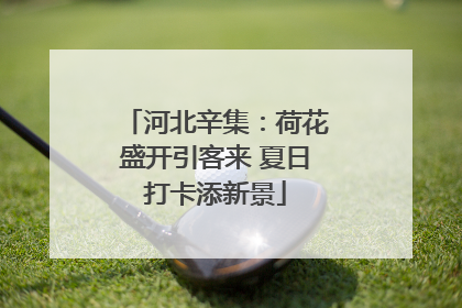 河北辛集：荷花盛开引客来 夏日打卡添新景