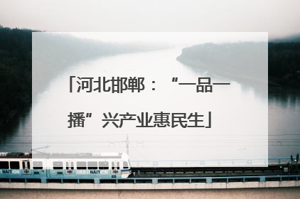 河北邯郸：“一品一播”兴产业惠民生