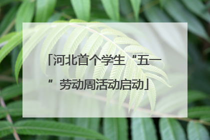 河北首个学生“五一”劳动周活动启动
