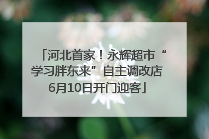 河北首家！永辉超市“学习胖东来”自主调改店6月10日开门迎客